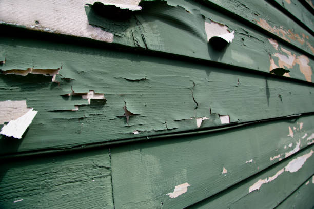 Best Garage Cleanout  in Elsberry, MO