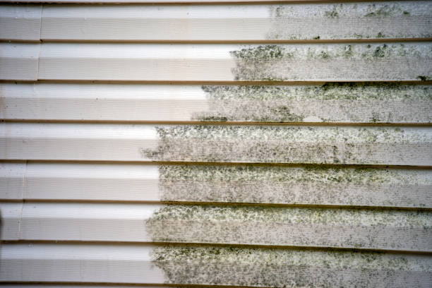 Best Furniture Removal  in Elsberry, MO