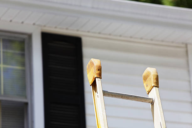 Best Carpet Removal and Disposal  in Elsberry, MO